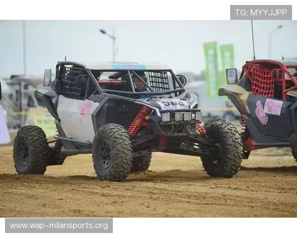 半岛体育在线网站的赛事评论区与社区互动功能介绍